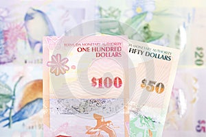 Bermudian dollar a business background