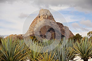 Agaves and monolith  in PeÃÂ±a de Bernal  queretaro mexico IX photo