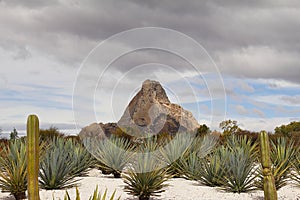 Agaves and monolith  in PeÃÂ±a de Bernal  queretaro mexico VIII photo