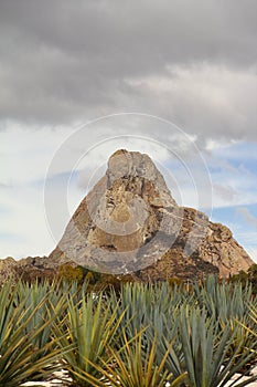 Agaves and monolith  in PeÃÂ±a de Bernal  queretaro mexico X photo