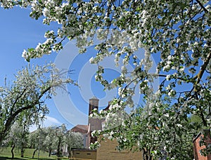 Bernardine church in Vilnius, springtime