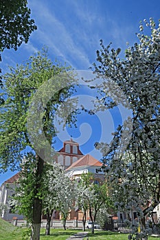 Bernardine church in Vilnius, springtime