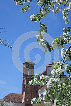 Bernardine church in Vilnius, springtime