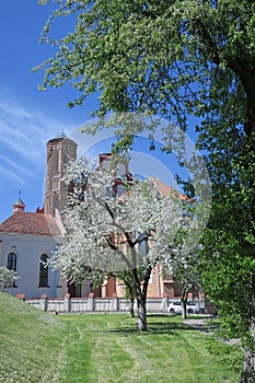 Bernardine church in Vilnius, springtime