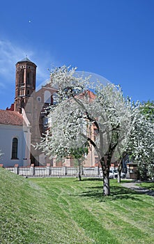 Bernardine church in Vilnius, springtime