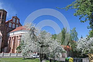 Bernardine church in Vilnius, springtime