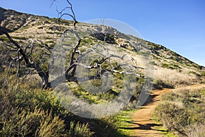 Bernardo Mountain Hiking Trail Poway San Diego County California