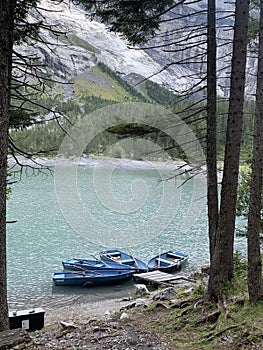 Bernese Alps