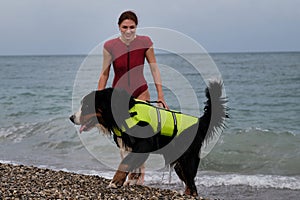 Bernese Mountain Dog is lifeguard and bodyguard on water and on land. Young pretty Caucasian red haired girl comes out of sea with