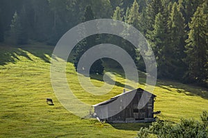 Bernese Swiss alps and alpine farm with lonely cow, Switzerland