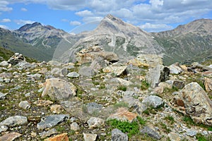 Bernina Pass