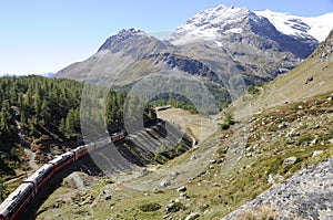 The Bernina train drives over the Swiss Alps in the Oberengadin from Pontresina via Bernina-Hospitz to Alp GrÃ¼m and ends in