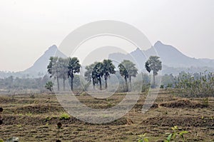 Bero hills & landscape at purulia west bengal photo