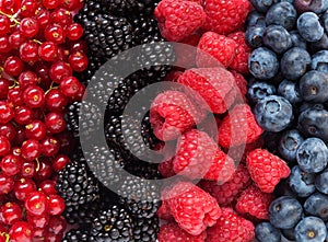 Berries