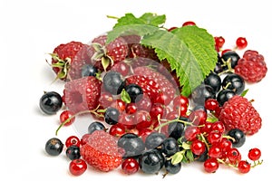 Berries