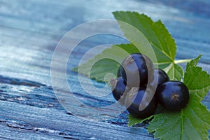 Berries. Black currant berries on a wooden table.