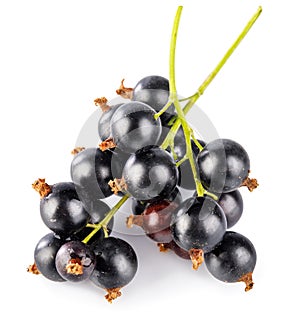 Berries black currant with green leaf. Fresh fruit isolated
