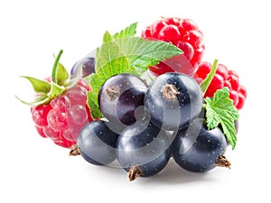 Berries. Black currant with raspberry isolated on white