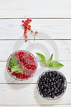 Berries of black red and white currant