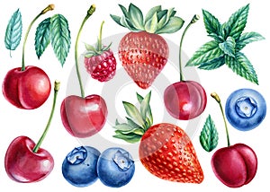 Berries blueberries, raspberries, sweet cherries, strawberries, mint leaves, watercolor illustration