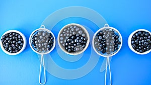 Berries. Blueberry. Forest Berries in a bowl on blue background. Background with selective focus. Copy space