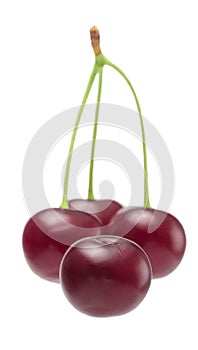 Berries cherries on a white background isolate close-up