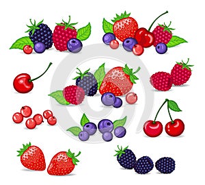 Berries Collection