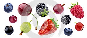 Berries collection isolated on white background with clipping path