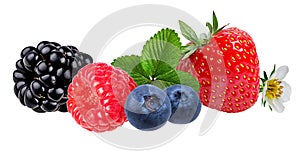 Berries collection. Raspberry,strawberry, blueberry, blackberry isolated