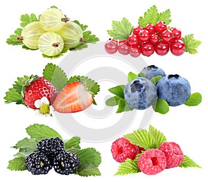 Berries collection strawberries blueberries red currants berry fruits fruit isolated on white