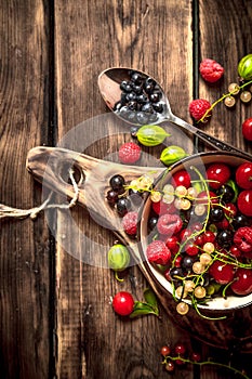 Berries in a Cup on the Board.