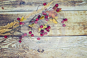 Berries and dry grass on a wooden background