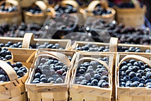 Berries at the farmers market