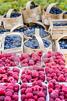 Berries at the farmers market