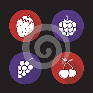 Berries flat design long shadow icons set