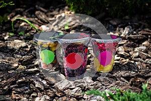 Berries and fruits in glasses on a background of wood bark. Fresh smoothie ingredients, healthy nutrition, detoxication