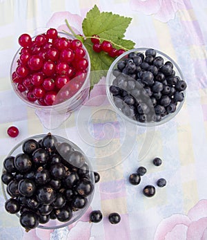 Berries in a glass