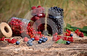 Berries in glass jars