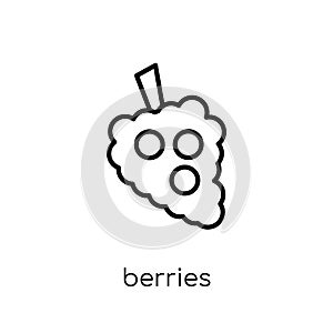 Berries icon from Fruit and vegetables collection.