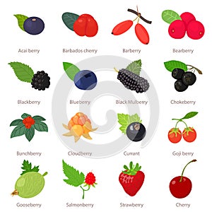 Berries icons set, cartoon style