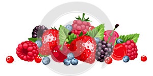 Berries isolated on white. Vector illustration. photo