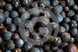 Berries of Juniper, Juniperus communis