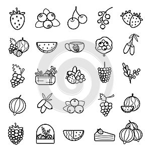 Berries line icon set isolated on white background