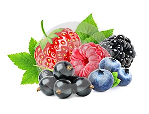 Berries mix isolated - strawberry, blueberry, currant, raspberry and blackberry on white background