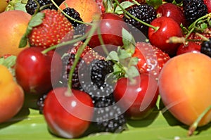Berries overhead closeup colorful assorted mix of strawberry, blueberry, raspberry, blackberry, red currant in studio on