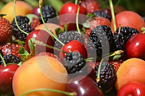Berries overhead closeup colorful assorted mix of strawberry, blueberry, raspberry, blackberry, red currant in studio on