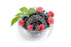 Berries: raspberries and bilberries