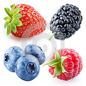 Berries - raspberry, strawberry, blueberry, mulberry. Collection isolated