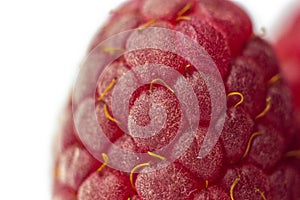 Berries of red raspberries close-up. sweet summer medicinal berries macro details
