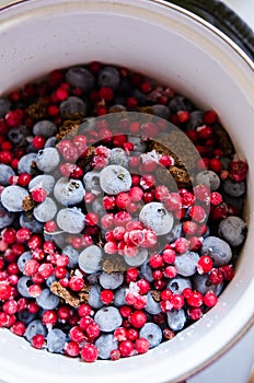 Berries reduction preparation